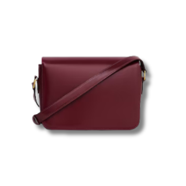 CLASSIQUE TRIOMPHE BAG IN shiny calfskin